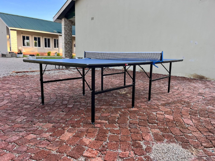 table tennis